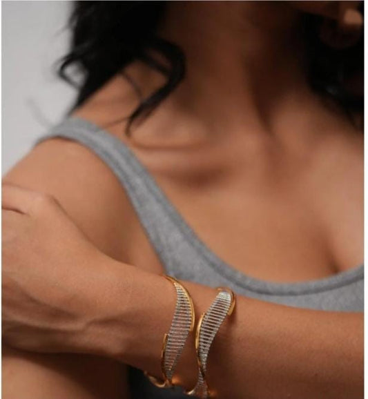 Neha Bangle. ( Set of 2)