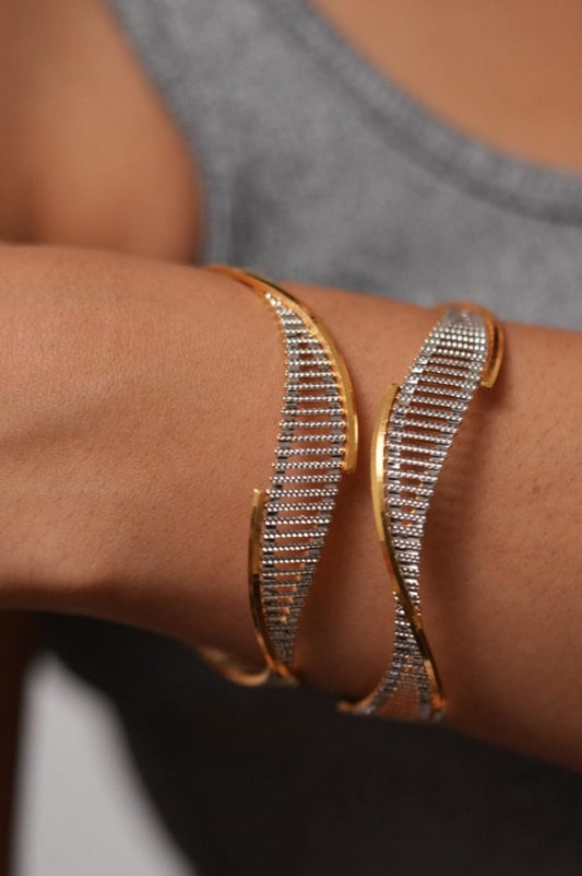 Neha Bangle. ( Set of 2)